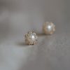 S925 sterling silver freshwater pearl small disc earrings